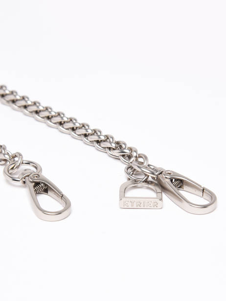Bandoulière De Sac Etrier Argent accessoires EACCB70L vue secondaire 2