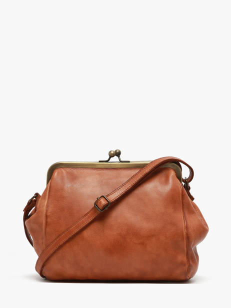 Sac Bandoulière Heritage Cuir Biba Marron heritage KAB21L vue secondaire 4